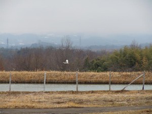 20120318_2.jpg