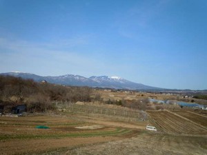 20120319_2.jpg
