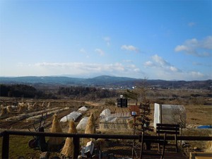 20120321_1.jpg