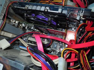 20120321_2.jpg
