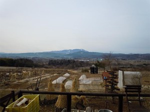 20120322_1.jpg