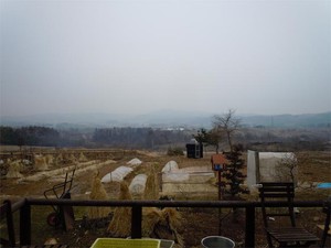 20120323.jpg