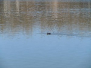 20120329_2.jpg