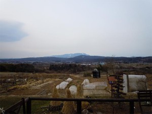 20120330_1.jpg