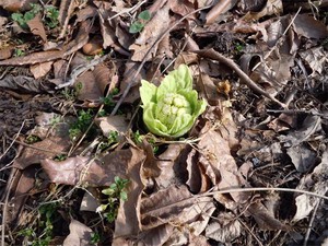 20120330_2.jpg
