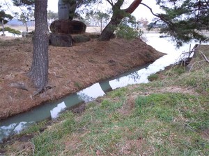 20120413_2.jpg