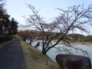 20120421_4.jpg