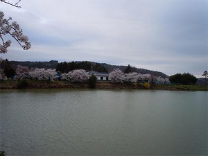 20120427_4.jpg
