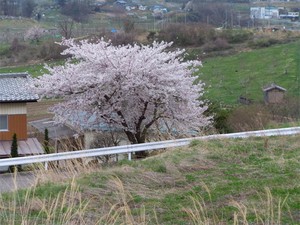 20120427_6.jpg