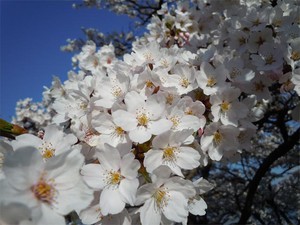 20120428_10.jpg