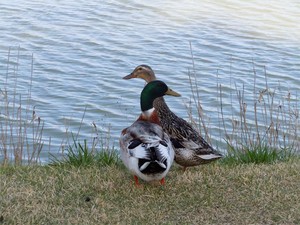 20120428_11.jpg