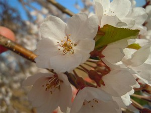 20120428_13.jpg