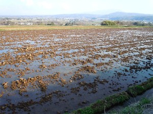 20120428_14.jpg