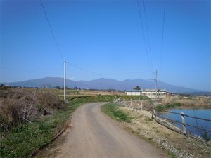 20120428_2.jpg
