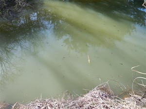 20120428_4.jpg