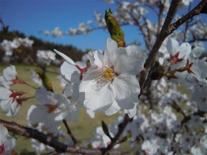 20120428_7.jpg