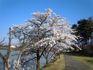 20120428_9.jpg