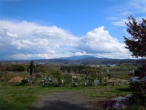 20120504_2.jpg