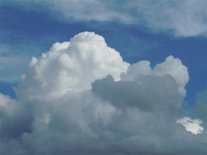 20120504_4.jpg