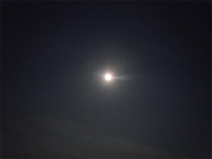 20120506_1.jpg