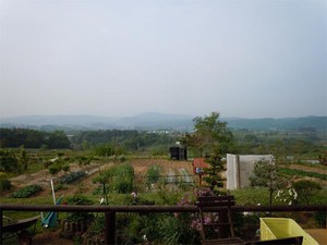 20120525.jpg