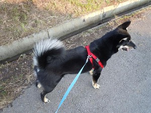 20120528_2.jpg