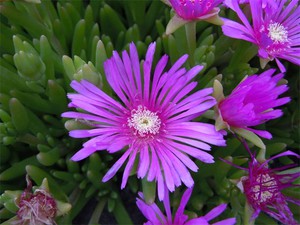20120605_2.jpg