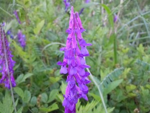 20120605_4.jpg