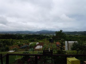 ひきこもり