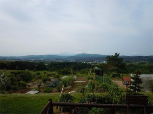 20120624_1.jpg