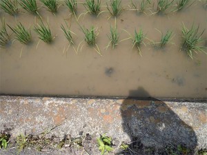 20120624_2.jpg