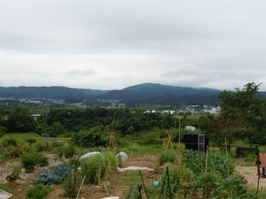 20120625_1.jpg