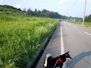 20120711_3.jpg