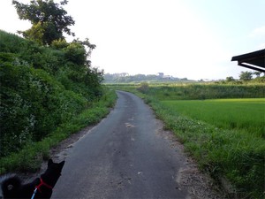 20120711_4.jpg