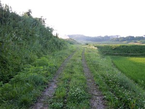 20120711_5.jpg