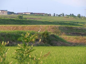 20120711_6.jpg