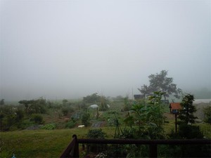 20120713_1.jpg