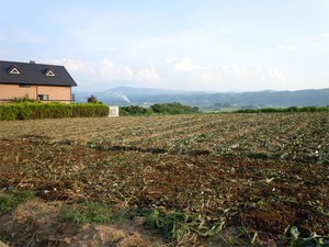 20120726_3.jpg