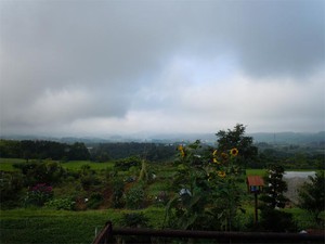 20120729.jpg