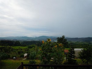 20120806.jpg