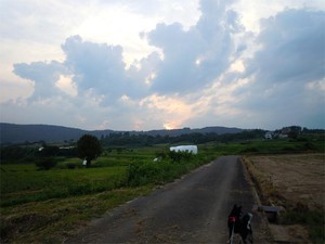 20120810_2.jpg