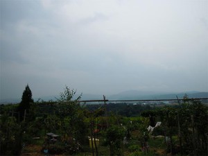 20120811_2.jpg
