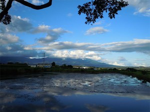 20120814_3.jpg