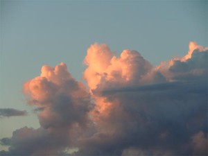 20120814_4.jpg