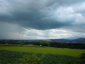 20120816_3.jpg