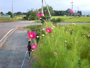 20120818_2.jpg