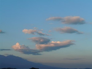 20120821_3.jpg