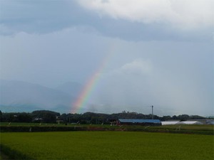20120822_5.jpg