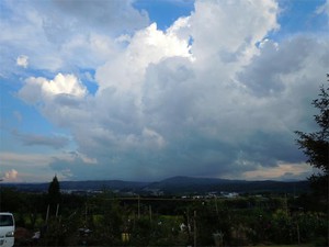 20120822_6.jpg