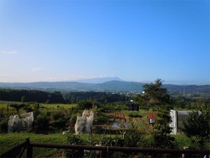 DVD修復